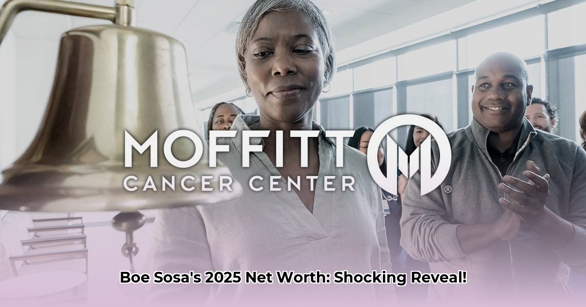 boe-sosa-net-worth
